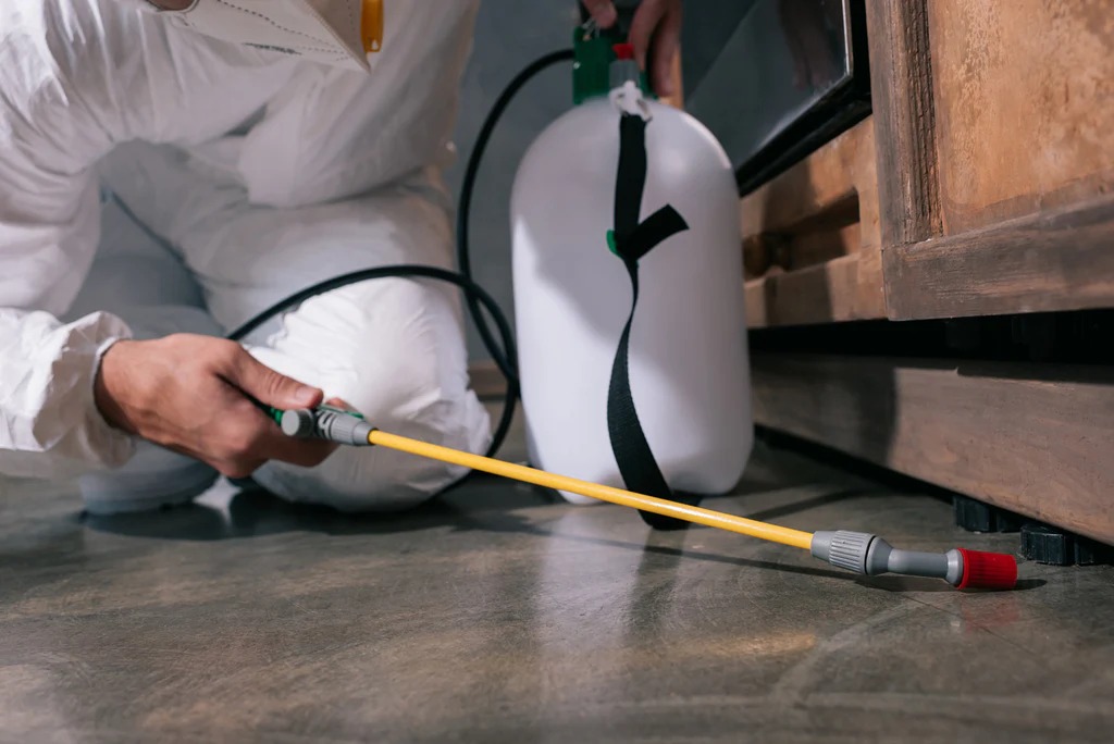 Grey Force Home Care